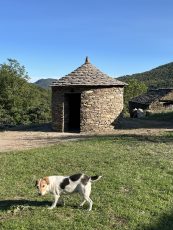 2024 – Casele – Cassagnas